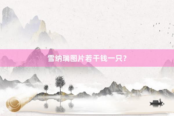 雪纳瑞图片若干钱一只?
